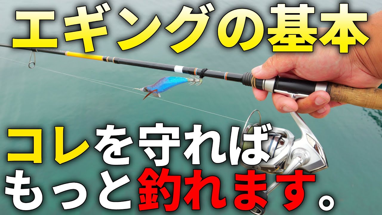 【初心者必見】釣れる人はやっている。覚えておけば絶対に役立つ、エギングの実は大事なポイントを解説します。