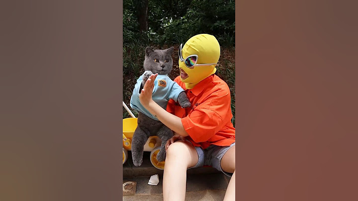 Oh No! Let’s Share The Sweetness With Ants! 🍭🐜❤️ #catvideos #catmemes #trending
