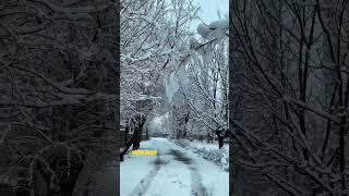 About Today Yasin Valley Ghizer Gilgit Baltistan Pakistan