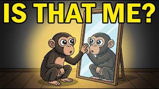 Do Animals Recognize Themselves In A Mirror