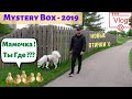 Mystery Box - 2019 )) | Утка - Предательница | Новые Птички | Идеи для Новых Видео | VLOG #13