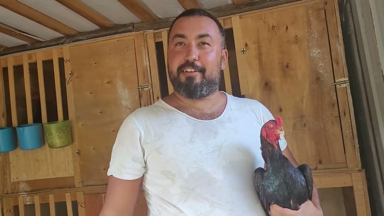 muğla##Hayati Şimşek.kardesimin. kumesindeyiz güzel.bir söyleşi.oldu selamlar.inslahlah zevkle izler