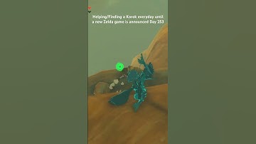 Helping/Finding a Korok everyday until a new Zelda game is announced Day 253