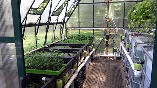 Aquaponics Greenhouse Tour Summer 2023