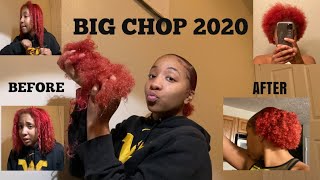 Big Chop On Natural Hair!!! (Cut Off All My Heat Damage)