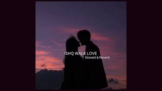 Ishq Wala Love || Slowed Reverb ||