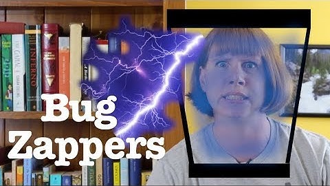 Do bug zappers really work?