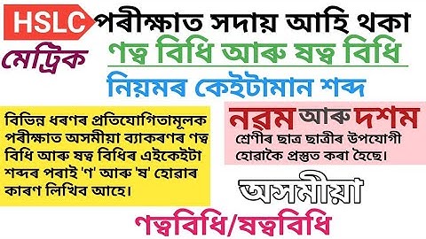 ণত্ববিধি আৰু ষত্ববিধি অসমীয়া ব্যাকৰণ|| Assamese Grammar for Class 9&10/ All Competitive Exam||