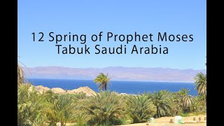 12 spring of Prophet Moses  | Biblical Place in Tabuk Saudi Arabia | NEOM