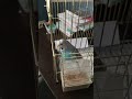 4 смешных друзей 1 упал 2 упал 3 упал 4 згарел