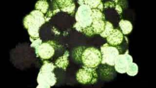 Afterburn Radioactive Explosion