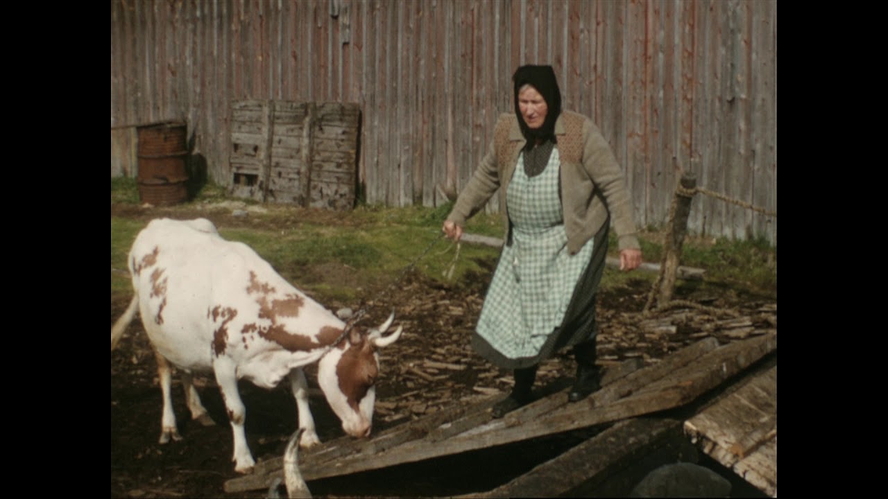 Fäbodar i Larsmo (1957)