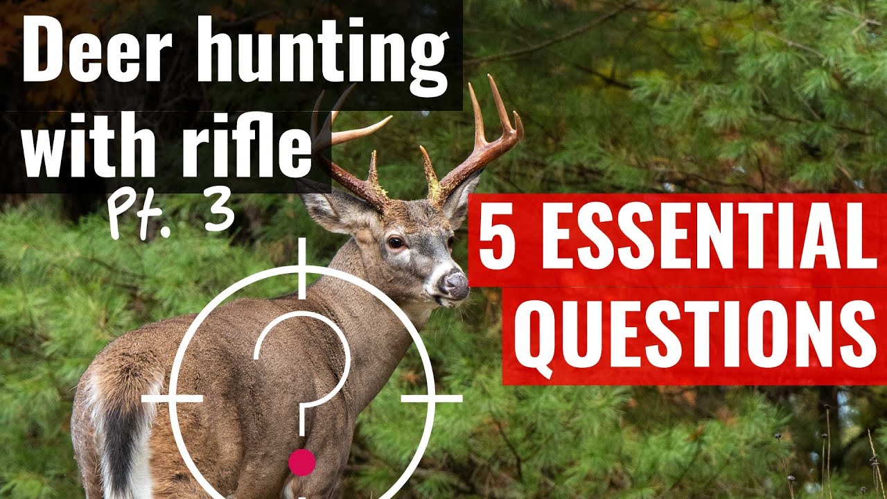 5 essential deer hunting questions (deer hunting with rifle pt. 3 ...