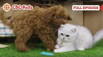 Mittens & Pants | Fort Friends | CBC Kids