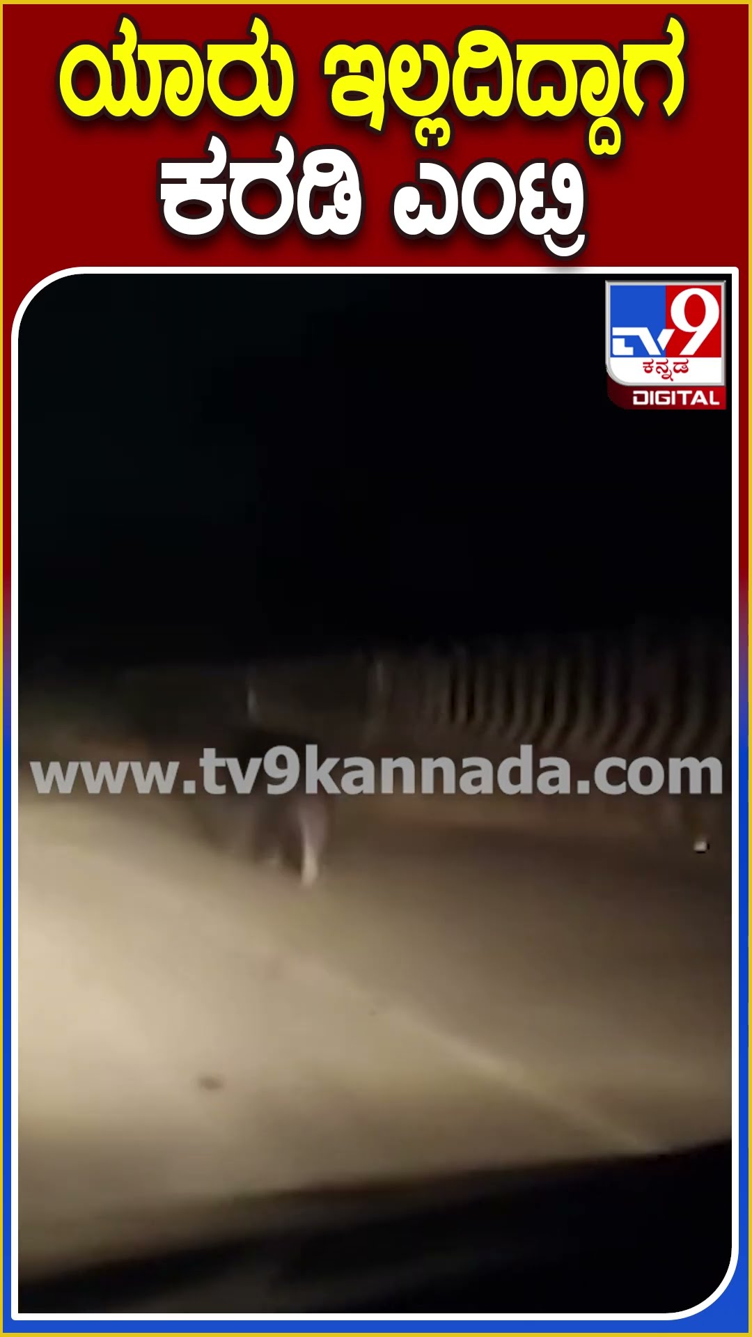 ಯಾರು ಇಲ್ಲದಿದ್ದಾಗ ಕರಡಿ ಎಂಟ್ರಿ! #Bear #Tv9D