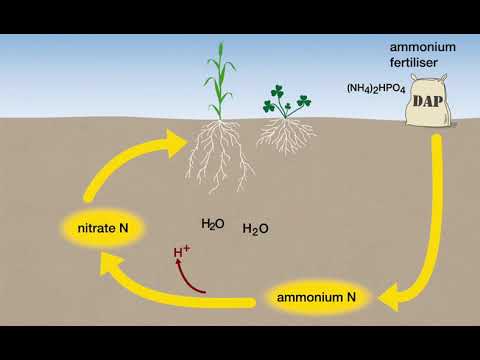 Video: Maakt kunstmest de bodem zuur?