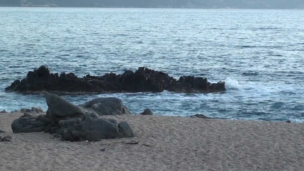 Corsica Plage Dolmeto
