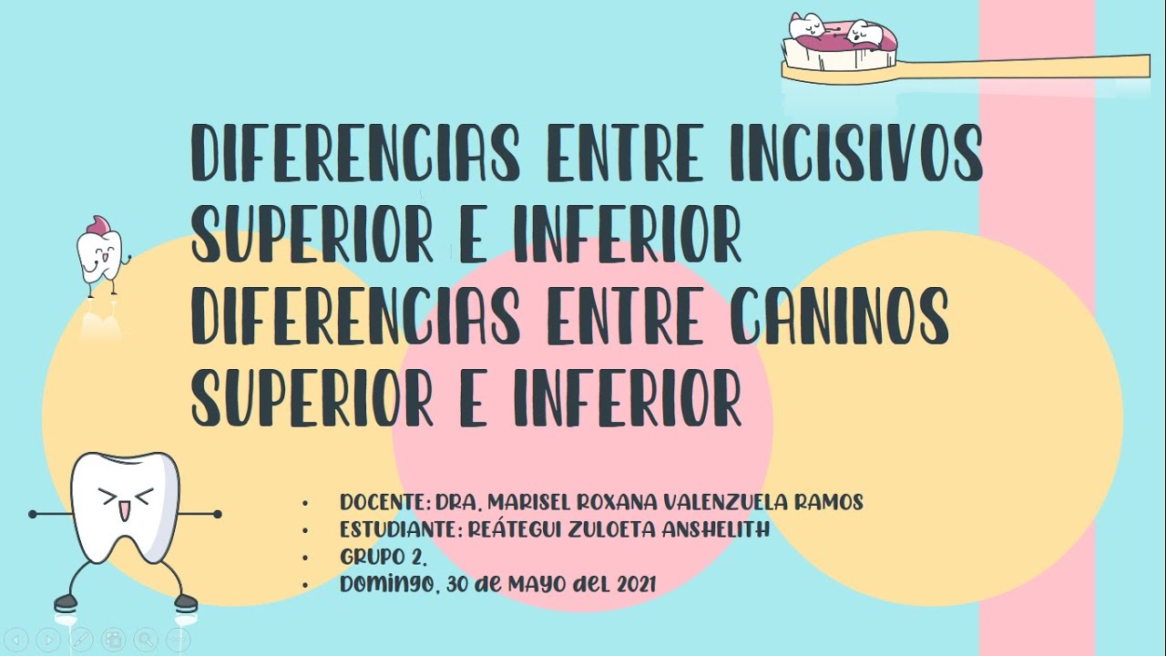 Grande orificio de soplado Desobediencia DIFERENCIA ENTRE INCISIVOS SUPERIORES E INFERIORES- DIFERENCIA ENTRE  CANINOS SUPERIORES E INFERIORES - YouTube