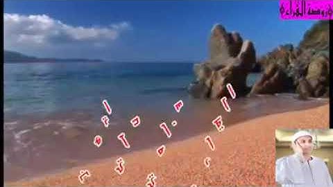 جواب قرآني رائع وشغل جديد القارئ سامي علي ايوب تسجيلات واخراج م/صبحي حامد روضة القراء