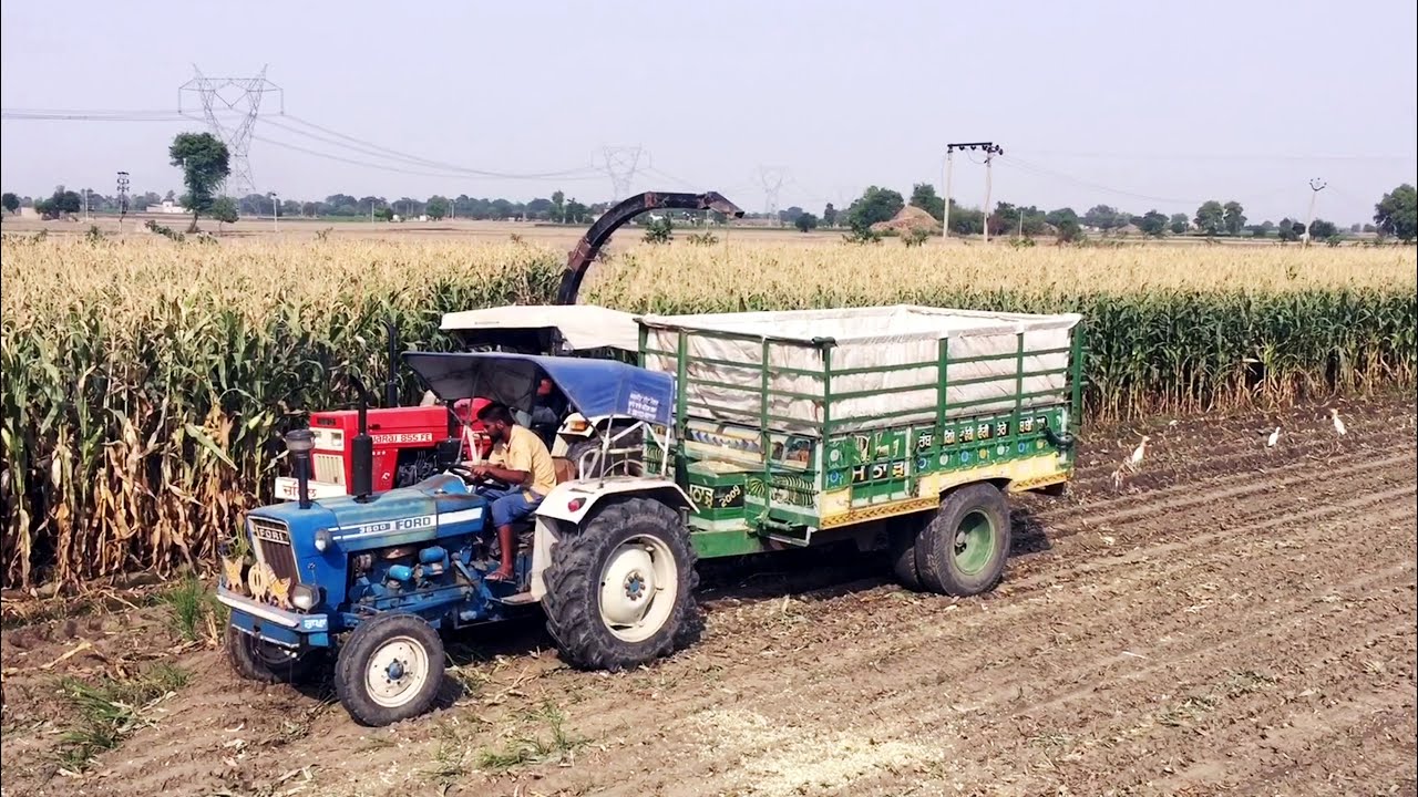 Swaraj855 / FORD 3600 / Trali / Shaktiman Fodder Harvester / Agriculture Equipment Punjab