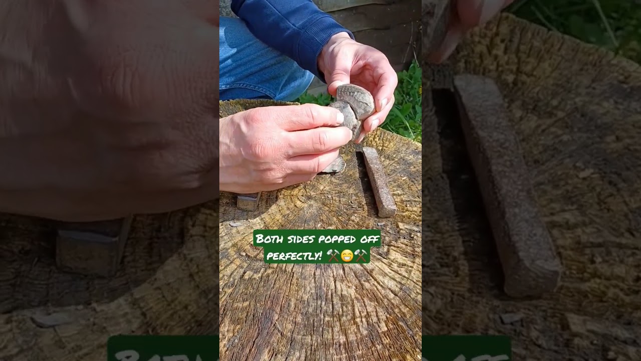 Tap tap pop Hildoceras fossil centre revealed! ⚒️ 