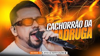 XAND AVIÃO CACHORRÃO DA MADRUGA - XAND AVIÃO ABRIL 2026 - XAND AVIÃO MÚSICAS NOVAS PRA PAREDÃO 2026