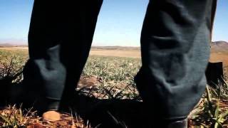 Mohsen Namjoo - Nobahari - HD.mp4