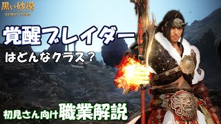 黒い砂漠 覚醒ブレイダー Pve解説 In ポリの森 星の墓場 職業解説 Youtube