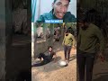 funny reaction comedy reaction funny memes #comedy #funny #reaction #shortvideos #viralvideo
