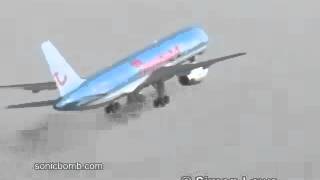 Bird Strike ( Engine Failure )