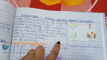 ICT based lesson plan of science on topic - Food groups| B.Ed 3 rd sem