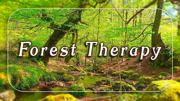 🌳Fresh Morning 🌳Healing Frequency Forest Creek Sounds with Soft Birdsong | Relaxing Bubbling Stream thumbnail