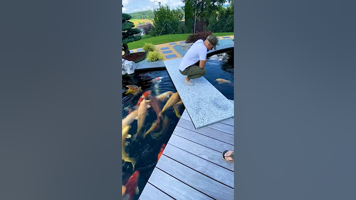 Incredible Koi Pond in Switzerland 🇨🇭😳 #koifish #watergarden #koipond #japanesekoi #oase #koi