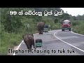 Elephant attack to tuk tuk #attack #elephant #srilanka