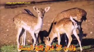 اللغة العربية الصف الخامس الفصل الثاني درس المسك