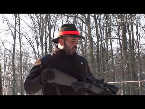 Video: Come Emettere Un'arma Rigata