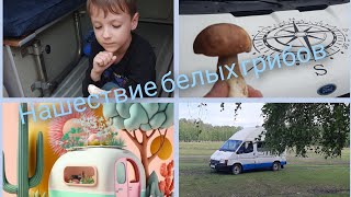 Нашествие белых грибов. На автодоме по грибы.