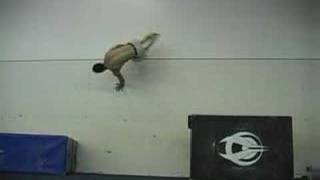 Random Free-Running combo (training)