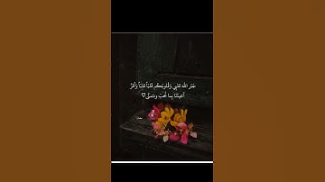وبقد نعلم أنك يضيق صدرك بما يقولون🥹🤲♥️#تلاوة_خاشعة #تريح_القلب #اكسبلور #راحة_نفسية #القرآن_الكريم