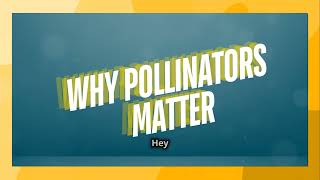 🌼 The Importance of Pollinators: How Bees, Butterflies, and More Keep Our Ecosystems Thriving 🌿