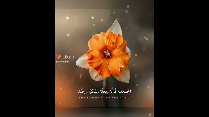 حالات وتس اب فضل الحمد وشكر لله 🌺🌺