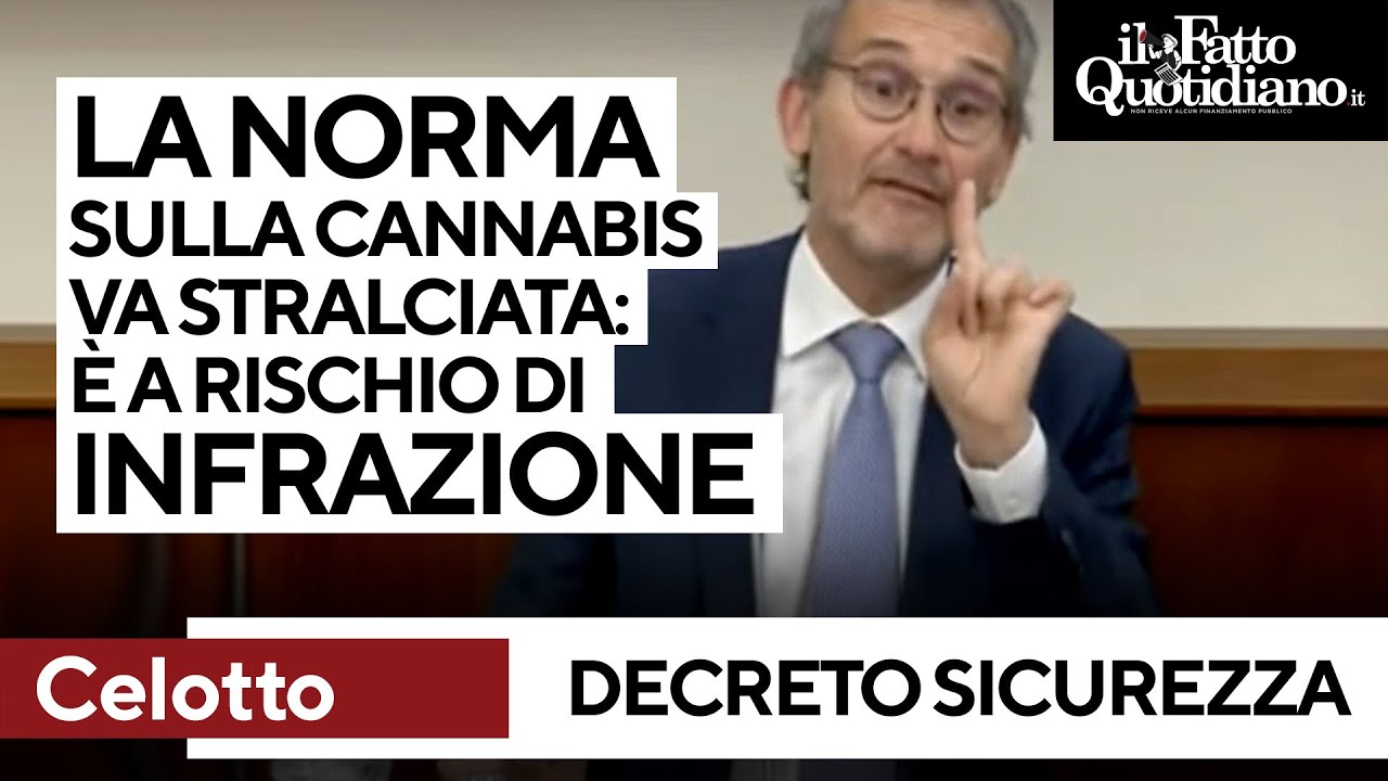Il costituzionalista Celotto spiega perché la norma sulla cannabis va stralciata: 