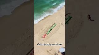 رسمتي على رمل البحر ❤️ fypシ fypage beach beachart رسم بحر رمل فنان نحت رسام فيديو شاهد