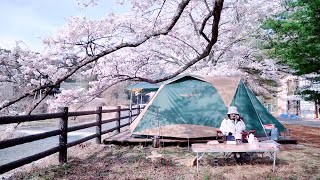 Camp with Sakura　美しいの四月に楽しいキャンプ by April 267 views 1 year ago 4 minutes, 21 seconds