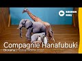 Compagnie hanafubuki i diorama i momix 2022 i szenik