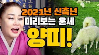 [2021년 운세] 미리보는 양띠운세  (31세 43세 55세 67세 79세 양띠운세) 인천점집 금대신당