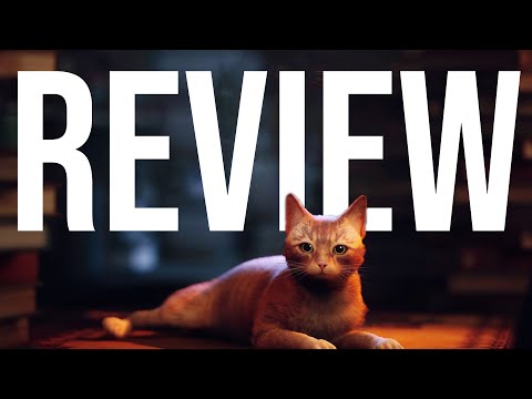 ＜BB.Kong＞STRAY CATS UNRELEASED DEMO Stray Cats - Cat Fight Over A Dog Like Me (LIVE) - YouTube