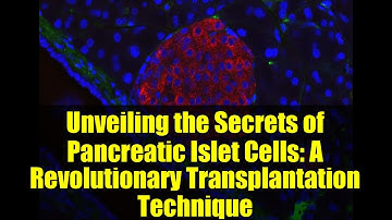 Unveiling the Secrets of Pancreatic Islet Cells: A Revolutionary Transplantation Technique