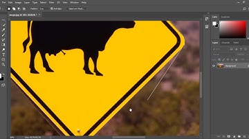 POLYGONAL LASSO TOOL | Adobe Photoshop Tutorial