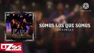 Somos los que somos (banda ms)